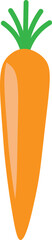 Carrot vegetable vector design.