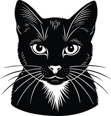 vector illustration of a black cat