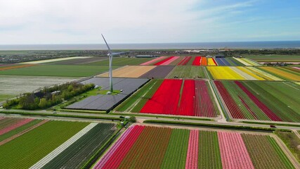 Aerial drone view of wind turbines and solar panels generating clean, renewable energy, with vibrant tulip fields visible in the background. - Powered by Adobe