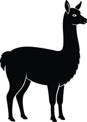 illustration of a llama with a background
