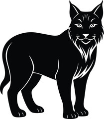 black cat vector illustration