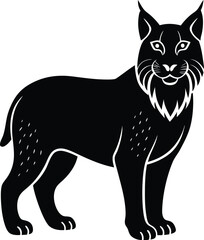 vector illustration of a cat