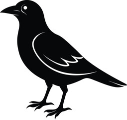 vector illustration of a crow