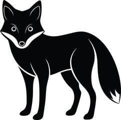 black cat vector illustration