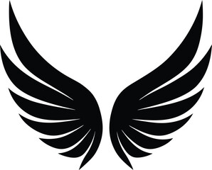 wings vector illustration