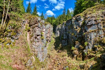 beautiful nature in krusne hory  mountains in czechia