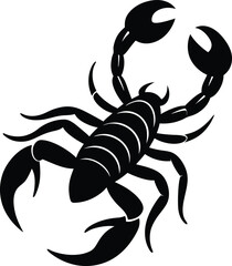scorpion silhouette on white background