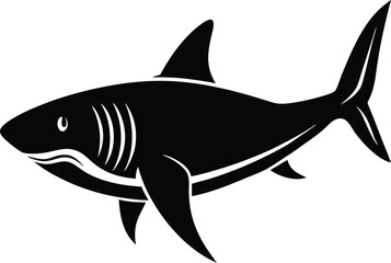 vector illustration of a shark