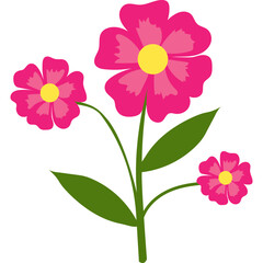 Spring Flower Illustration