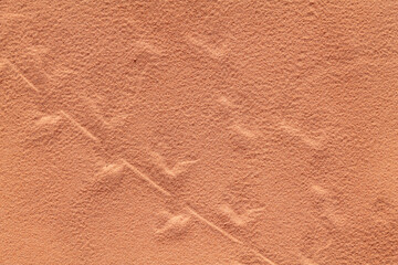 Animal track on the sand, red Aztec Sandstone outcrops. Rainbow Vista Trail, Valley of Fire State Park, Clark County, Nevada geology. desert iguana (Dipsosaurus dorsalis)	
