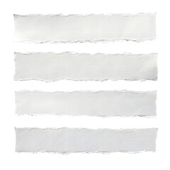 Fototapeta premium Transparent Background Ripped Paper Border
