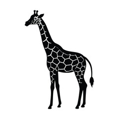 Naklejka premium Giraffe Standing Vector Silhouette