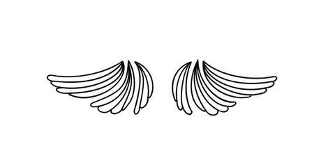 illustration of wings