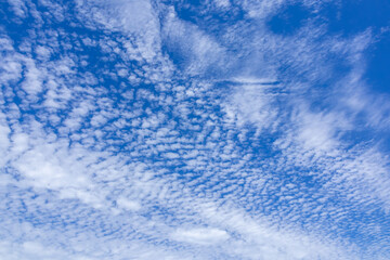 ６月の晴れた空