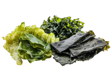 Assorted dried and fresh seaweeds