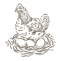 vector illustration sketch of a hen incubating eggs