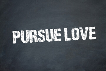 Pursue Love	

