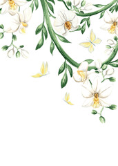 White orchid flowers, tropical lianas and flying butterflies isolated illustration. Watercolor botanical postcard template. Hand drawn frame with phalaenopsis and jungle plants for rainforest design.