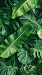 "Tropical botanical wallpaper design with large banana and monstera leaves, vibrant green colors, seamless pattern, jungle style, top-down flat light