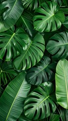 "Tropical botanical wallpaper design with large banana and monstera leaves, vibrant green colors, seamless pattern, jungle style, top-down flat light