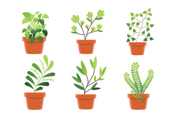 Indoor Houseplants in Clay Pots vector illustration