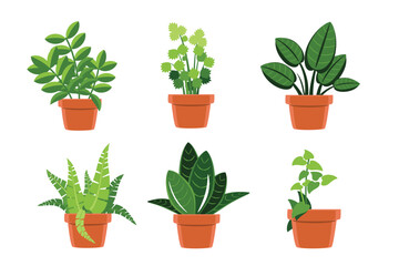 Indoor Houseplants in Clay Pots vector illustration