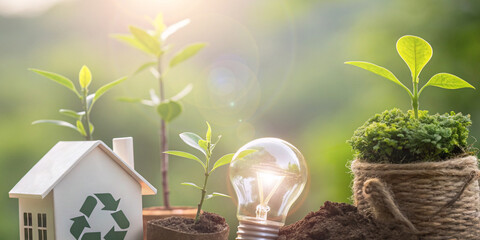 Grow and protect the environment sustainably within the framework of clean energy development in business