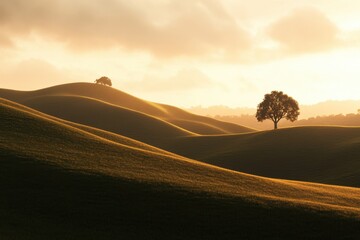 Golden hour landscape with solitary trees on rolling hills