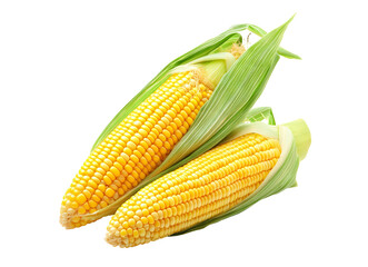 Pile of delicious looking yellow corn