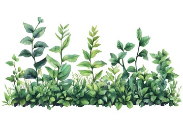 Fototapeta premium Watercolor green plants and leaves with a bottom border, vector illustration, on a white background.