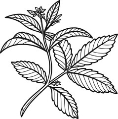 Vintage vector illustration of a plant branch with seamless black and white leaves, perfect for a floral pattern or wallpaper design