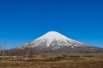 Obraz premium 北海道京極-青空の羊蹄山-