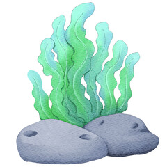 seaweed with rock cartoon