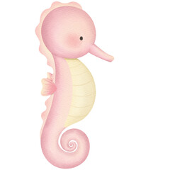 Sea horse. Ocean life.
