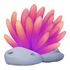 seaweed with rock cartoon