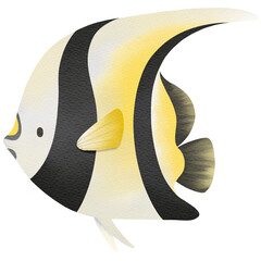 butterflyfish, Ocean life.