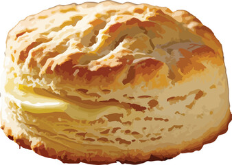  warm and inviting golden-brown biscuit
