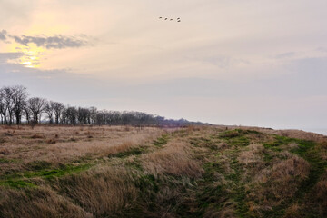 Sunset over the field in Anapa during the Black Sea fuel oil spill 2024