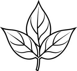 Simple vector illustration of three leaves connected to a stem botanical nature design
