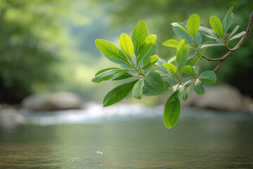 serene scene of crystal clear water flowing gently through lush green foliage essence of tranquility