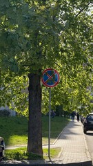 A pedestrian path along a green square with trees and a &ldquo;no stopping&rdquo; traffic sign. A spring morning with sunlight filtering through the leaves, creating a play of shadows.