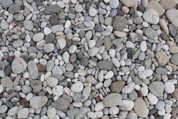 pebbles on the seashore, stones of different sizes and colors