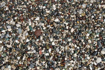 pebbles on the seashore, stones of different sizes and colors