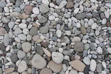 pebbles on the seashore, stones of different sizes and colors