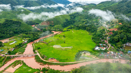 Aerial shots of rice paddy field in Sapan village of Nan province, Thailand.
