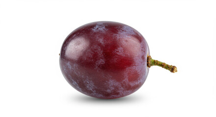 Single dark red grape closeup
