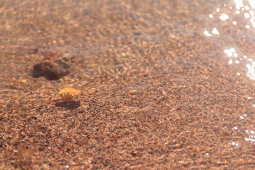 Close-up of wet sand on a beach, raw ecological textures of Finnish nature in fall - a rich autumn palette of earthy tones. The beauty of the Nordic forest wilderness as a serene seasonal background