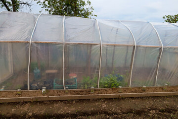 The photo shows a large greenhouse covered with transparent film, with plants growing inside visible in the soil. It stands on a plot of land being prepared for new crops, symbolizing agricultural lab