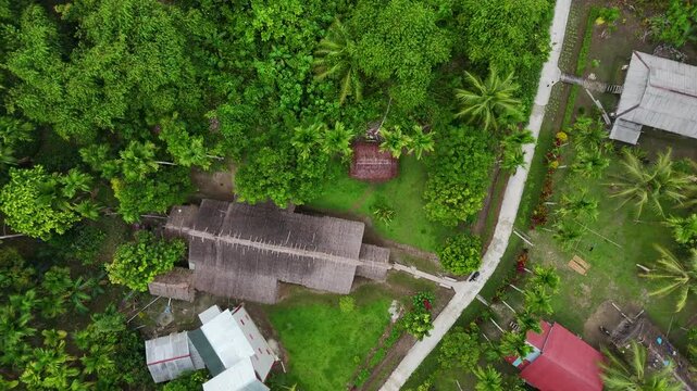 Drone aerial view of trees tropical rainforest jungle west sumatra Mentawai Islands Regency indonesia small village