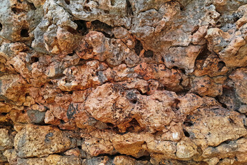 Dry Coral Rock Wall Texture from Tropical Coastline with Natural Holes